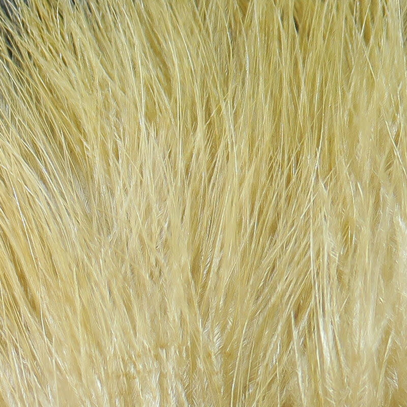 xs369