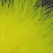 xs383