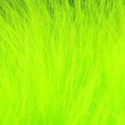 xs54