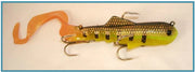 yellowbellyperch