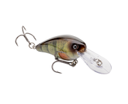yellowperch