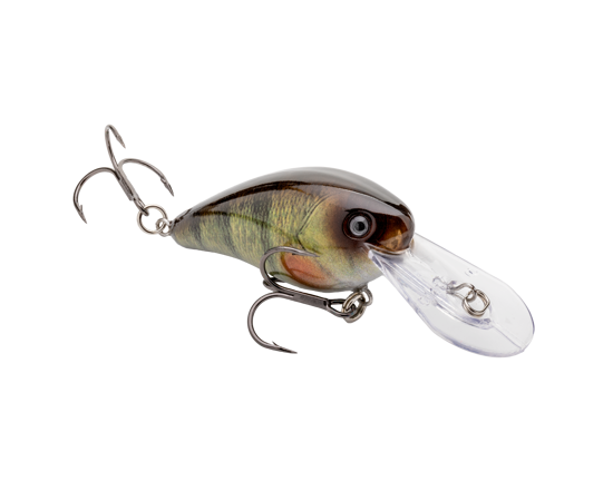 yellowperch