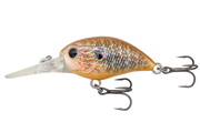 ZC-Real-Sunfish-01_1024x1024